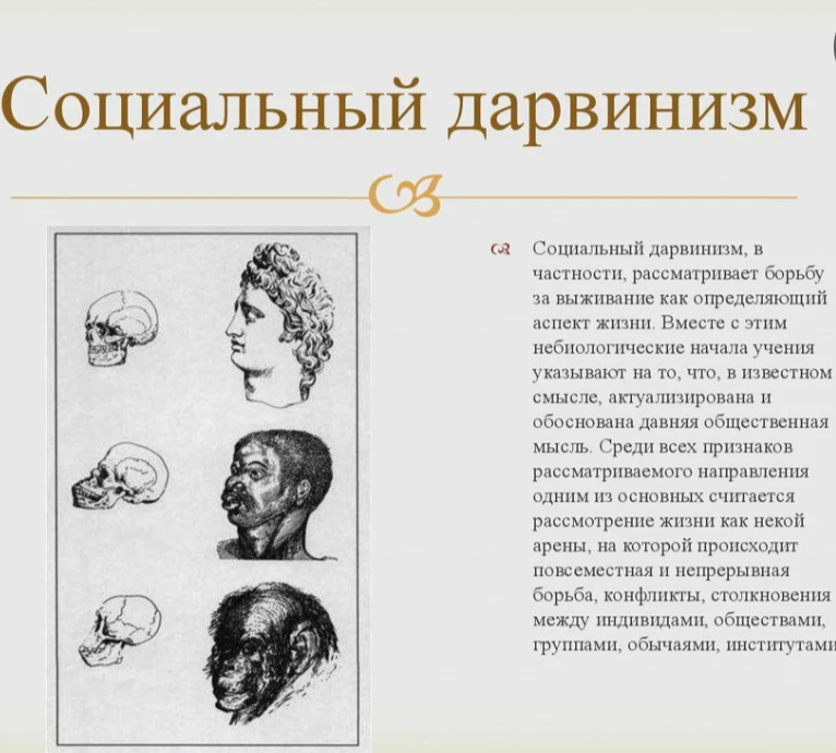 Социал-дарвинизм. Война и революция как единый процесс.