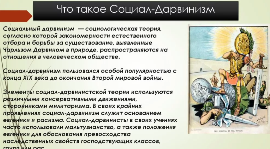 Что такое социальный дарвинизм: определение, история, критика